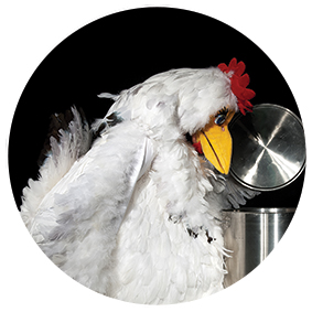 KIndertheater: Hühnersuppe ohne Huhn